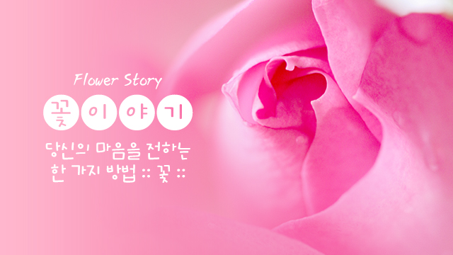 꽃이야기